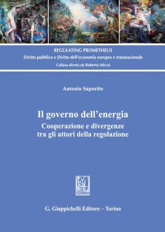 governo dell'energia. cooperazione e divergenze tra gli attori della regolazione (il)