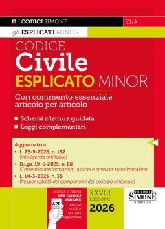 codice civile esplicato. ediz. minor. con app codici simone per un codice sempre aggiornato