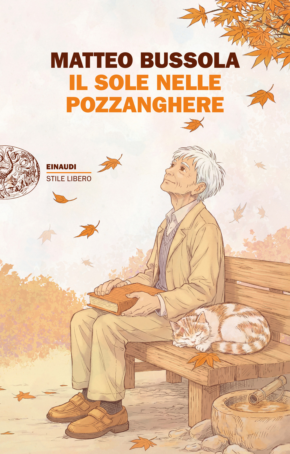 Sole Nelle Pozzanghere (il)