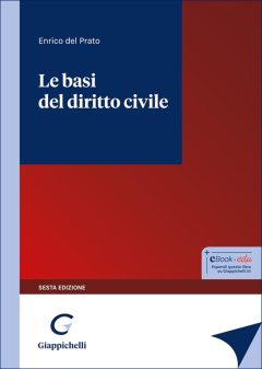 basi del diritto civile (le)