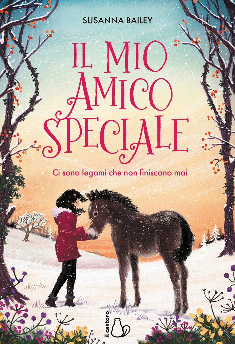 mio amico speciale. ci sono legami che non finiscono mai (il)